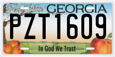 GA license plate PZT1609
