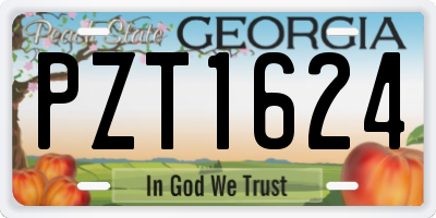 GA license plate PZT1624