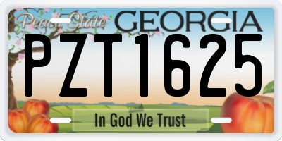 GA license plate PZT1625