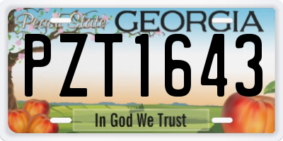 GA license plate PZT1643