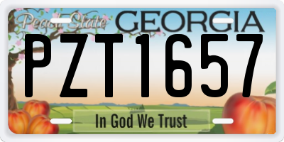 GA license plate PZT1657
