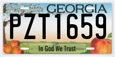 GA license plate PZT1659