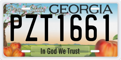 GA license plate PZT1661