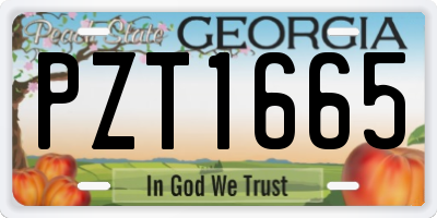 GA license plate PZT1665