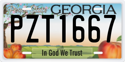 GA license plate PZT1667