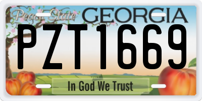 GA license plate PZT1669