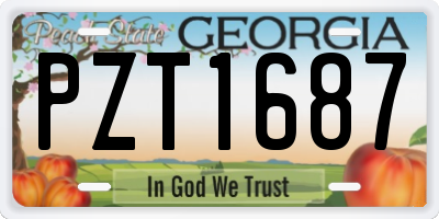 GA license plate PZT1687