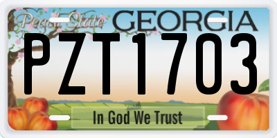GA license plate PZT1703