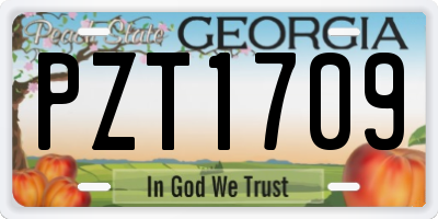 GA license plate PZT1709
