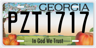 GA license plate PZT1717