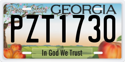 GA license plate PZT1730