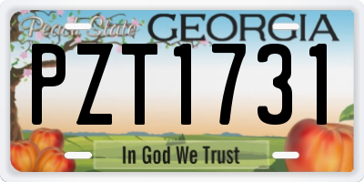 GA license plate PZT1731