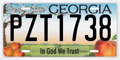 GA license plate PZT1738