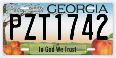 GA license plate PZT1742