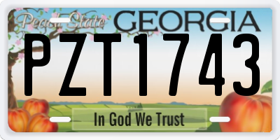 GA license plate PZT1743