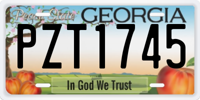 GA license plate PZT1745