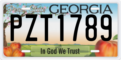 GA license plate PZT1789