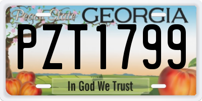 GA license plate PZT1799