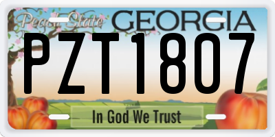 GA license plate PZT1807