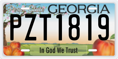 GA license plate PZT1819