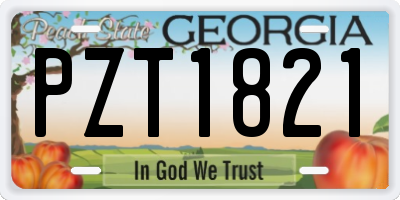 GA license plate PZT1821