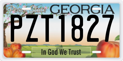 GA license plate PZT1827