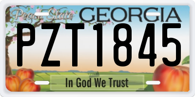 GA license plate PZT1845