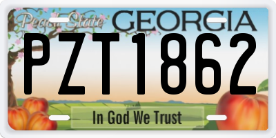GA license plate PZT1862