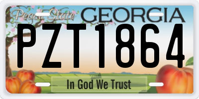 GA license plate PZT1864