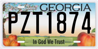 GA license plate PZT1874