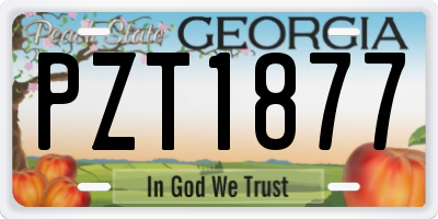 GA license plate PZT1877