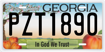 GA license plate PZT1890