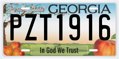 GA license plate PZT1916