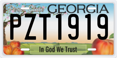 GA license plate PZT1919
