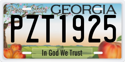 GA license plate PZT1925