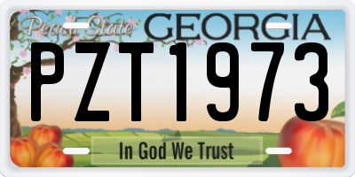 GA license plate PZT1973