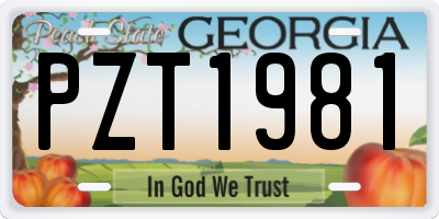 GA license plate PZT1981