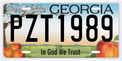 GA license plate PZT1989