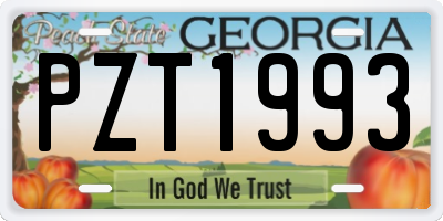 GA license plate PZT1993