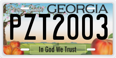 GA license plate PZT2003