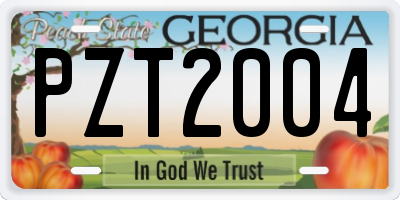 GA license plate PZT2004
