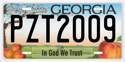 GA license plate PZT2009