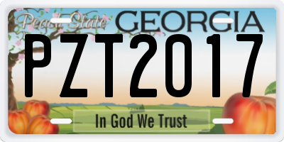 GA license plate PZT2017