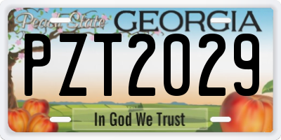 GA license plate PZT2029