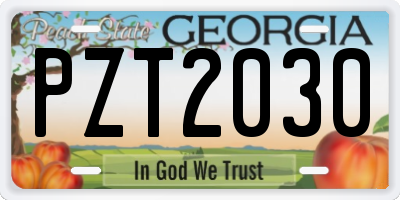 GA license plate PZT2030