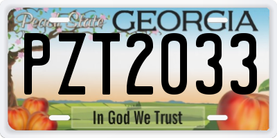 GA license plate PZT2033