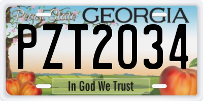 GA license plate PZT2034