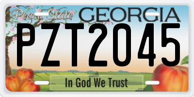 GA license plate PZT2045