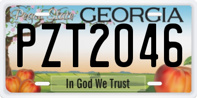 GA license plate PZT2046
