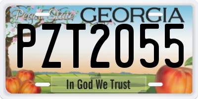 GA license plate PZT2055